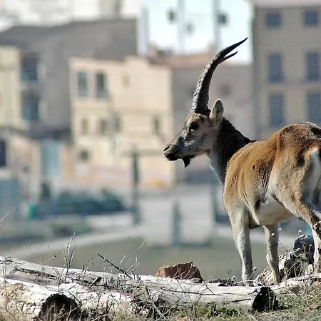 Restaurante El Castillo Гостевой дом