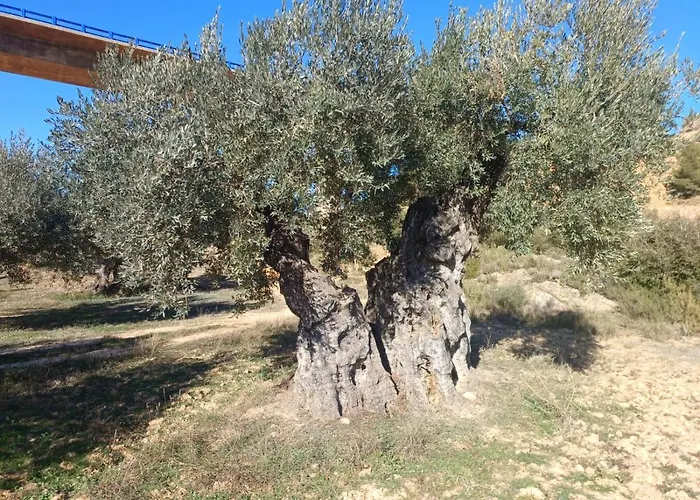 게스트하우스 Restaurante El Castillo 3*