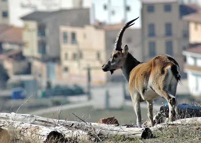 Restaurante El Castillo Guest house